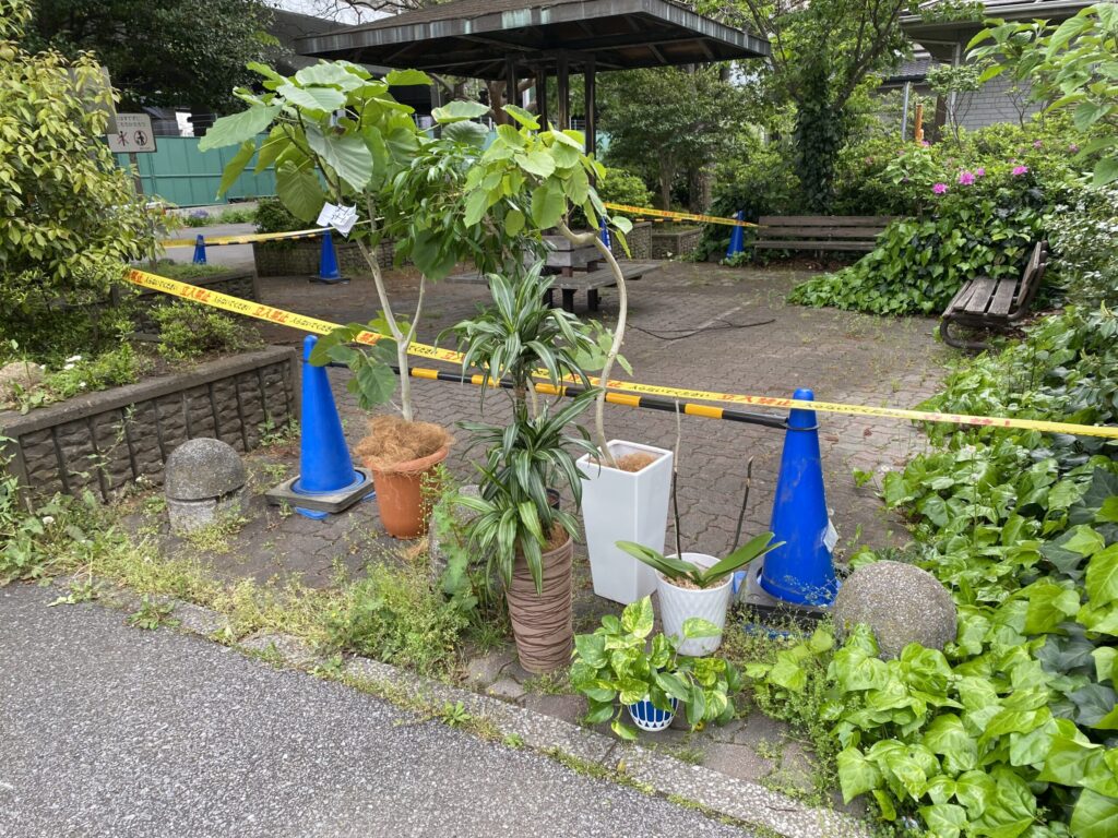 51歳にしてサラリーマンからの独立④いよいよ編２